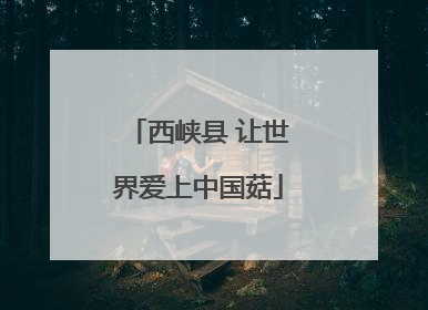 西峡县 让世界爱上中国菇