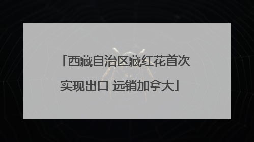 西藏自治区藏红花首次实现出口 远销加拿大