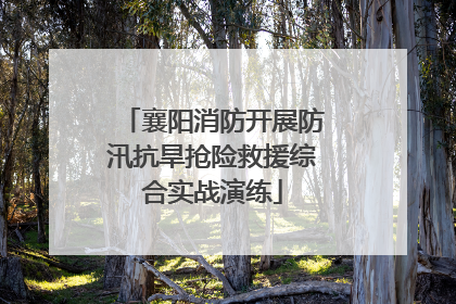 襄阳消防开展防汛抗旱抢险救援综合实战演练
