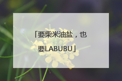 要柴米油盐，也要LABUBU