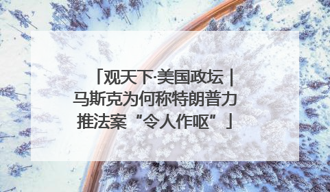 观天下·美国政坛｜马斯克为何称特朗普力推法案“令人作呕”
