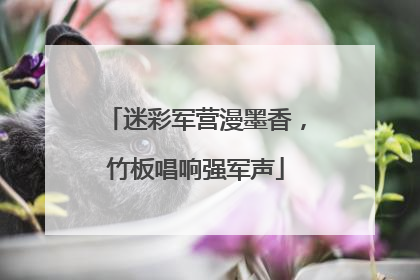 迷彩军营漫墨香，竹板唱响强军声