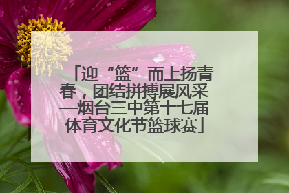 迎“篮”而上扬青春，团结拼搏展风采—烟台三中第十七届体育文化节篮球赛