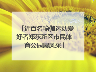 近百名瑜伽运动爱好者郑东新区市民体育公园展风采