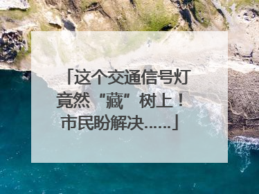 这个交通信号灯竟然“藏”树上！市民盼解决……