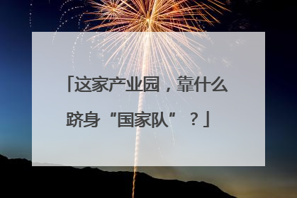 这家产业园，靠什么跻身“国家队”？