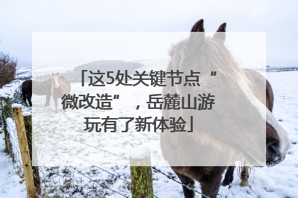 这5处关键节点“微改造”，岳麓山游玩有了新体验