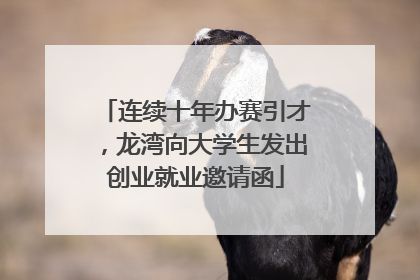 连续十年办赛引才，龙湾向大学生发出创业就业邀请函