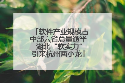 软件产业规模占中部六省总量逾半 湖北“软实力”引来杭州两小龙