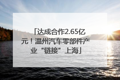 达成合作2.65亿元！温州汽车零部件产业“链接”上海