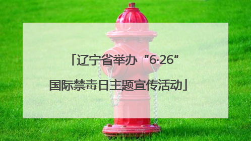 辽宁省举办“6·26”国际禁毒日主题宣传活动