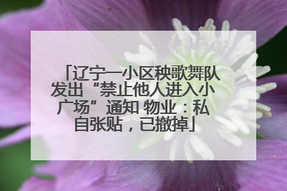 辽宁一小区秧歌舞队发出“禁止他人进入小广场”通知 物业：私自张贴，已撤掉
