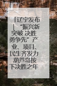 辽宁发布｜“振兴新突破 决胜勇争先”产业、项目、民生齐发力 葫芦岛按下决胜之年“加速键”