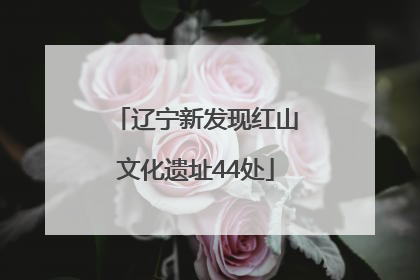 辽宁新发现红山文化遗址44处