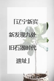 辽宁新宾新发现九处旧石器时代遗址