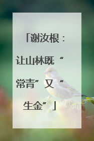 谢汝根：让山林既“常青”又“生金”