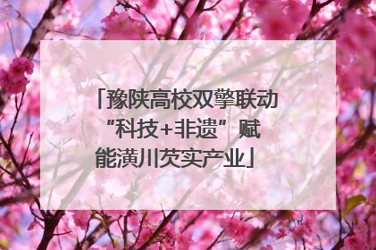 豫陕高校双擎联动 “科技+非遗”赋能潢川芡实产业