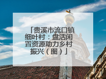 贵溪市流口镇细叶村：盘活闲置资源助力乡村振兴（图）