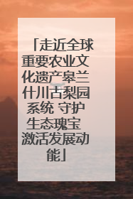 走近全球重要农业文化遗产皋兰什川古梨园系统 守护生态瑰宝 激活发展动能