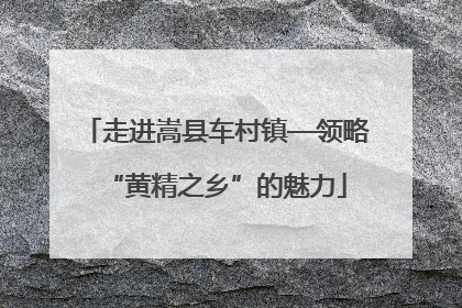 走进嵩县车村镇—领略“黄精之乡”的魅力