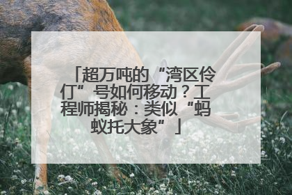 超万吨的“湾区伶仃”号如何移动？工程师揭秘：类似“蚂蚁托大象”