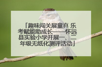 趣味闯关展童真 乐考赋能助成长——怀远县实验小学开展一、二年级无纸化测评活动