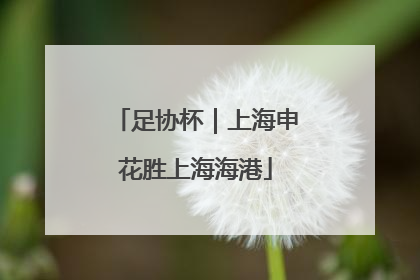 足协杯｜上海申花胜上海海港