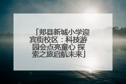 郏县新城小学迎宾街校区：科技游园会点亮童心 探索之旅启航未来