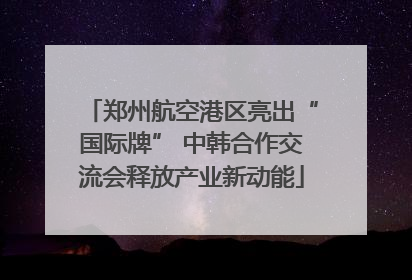 郑州航空港区亮出“国际牌” 中韩合作交流会释放产业新动能