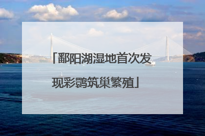 鄱阳湖湿地首次发现彩鹮筑巢繁殖