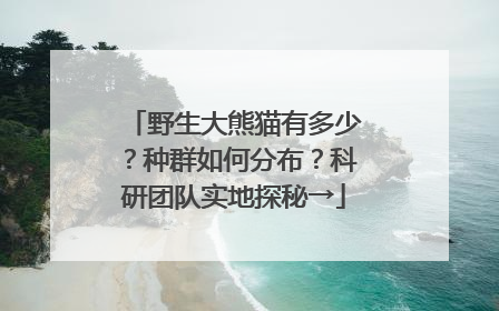 野生大熊猫有多少？种群如何分布？科研团队实地探秘→