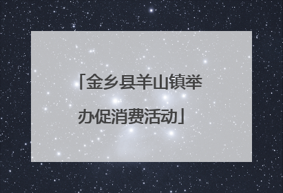 金乡县羊山镇举办促消费活动