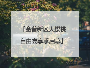 金普新区大樱桃自由尝享季启幕