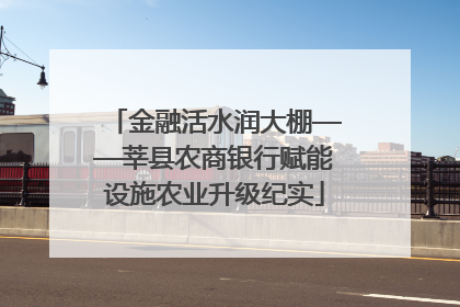 金融活水润大棚——莘县农商银行赋能设施农业升级纪实