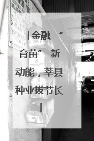 金融 “育苗” 新动能，莘县种业拔节长