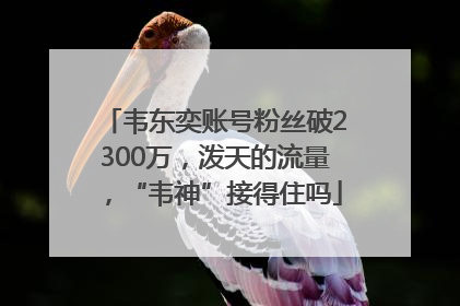 韦东奕账号粉丝破2300万，泼天的流量，“韦神”接得住吗