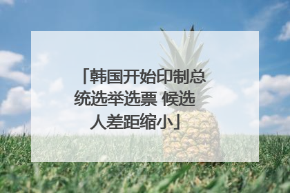 韩国开始印制总统选举选票 候选人差距缩小