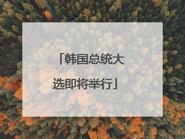 韩国总统大选即将举行