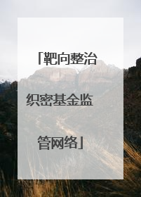 靶向整治织密基金监管网络