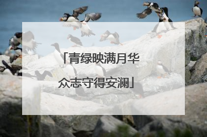 青绿映满月华 众志守得安澜