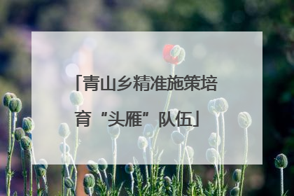青山乡精准施策培育“头雁”队伍