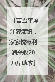 青岛平度洋葱滞销，家家悦零利润采收20万斤助农