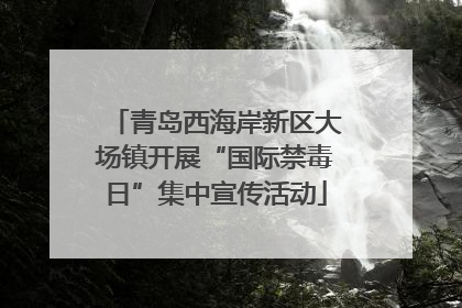 青岛西海岸新区大场镇开展“国际禁毒日”集中宣传活动