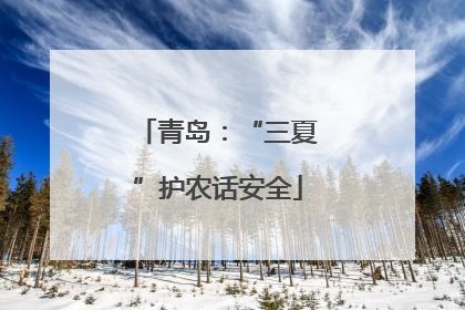 青岛：“三夏”护农话安全
