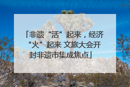 非遗“活”起来，经济“火”起来 文旅大会开封非遗市集成焦点