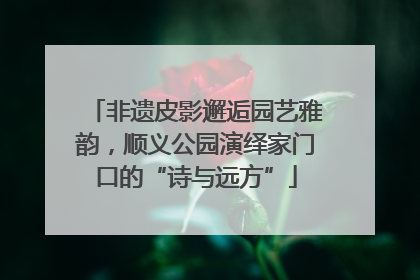 非遗皮影邂逅园艺雅韵，顺义公园演绎家门口的“诗与远方”