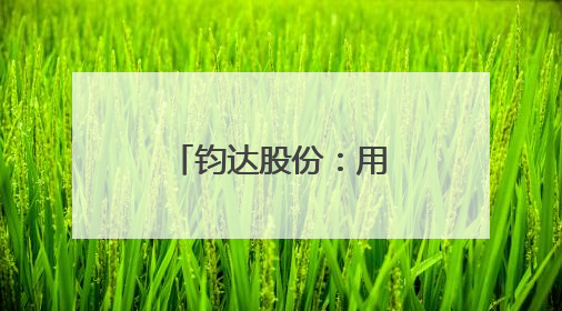 钧达股份：用N型技术丈量全球光伏新版图
