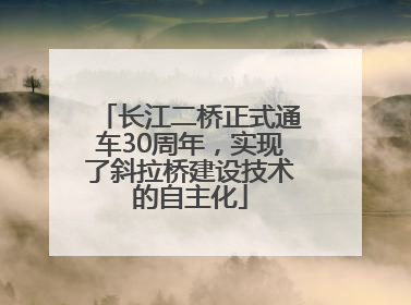 长江二桥正式通车30周年，实现了斜拉桥建设技术的自主化