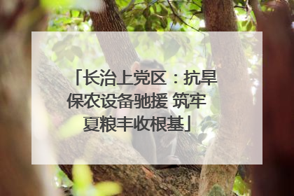 长治上党区：抗旱保农设备驰援 筑牢夏粮丰收根基
