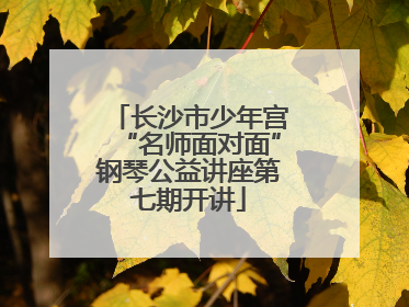 长沙市少年宫“名师面对面”钢琴公益讲座第七期开讲